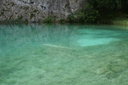 gal/cro 08/_thb_small-IMG_5619.JPG